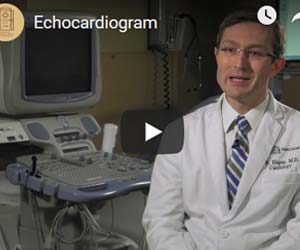 What is an ECHO (Echocardiogram)?