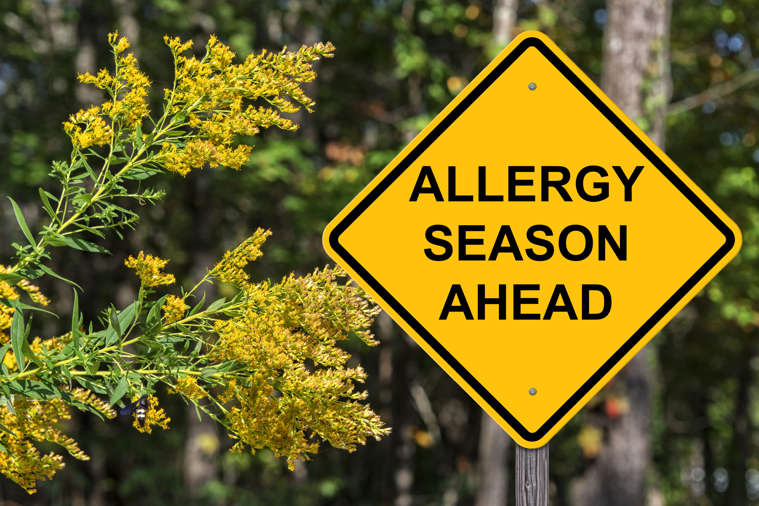 Allergy Season Is On The Horizon: Be Prepared!
